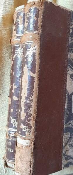 L'ENFER DE L'HISTOIRE-LES REPROUVES ET LES CALOMNIES- 2 VOLL.