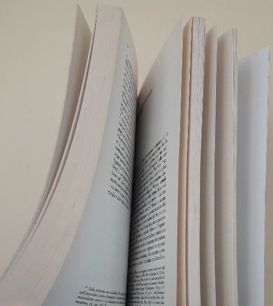 MAX WEBER- OLTRE LO STORICISMO(1988)