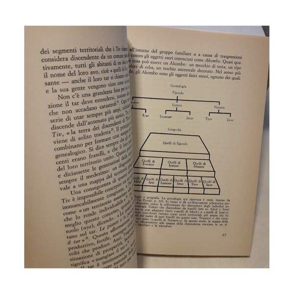 DIVENTARE DEA- I RITI DI INIZIAZIONE FEMMINILE(1983)