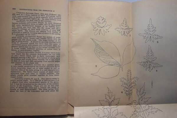 JOURNAL OF THE NORTH-CHINA BRANCH OF THE ROYAL ASIATIC SOCIETY …