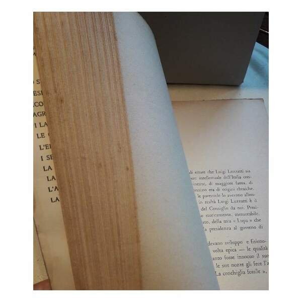 GLI EBREI IN ITALIA(1937/38)