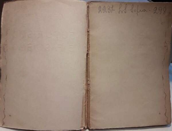 FUTURISMO E FASCISMO(1924)