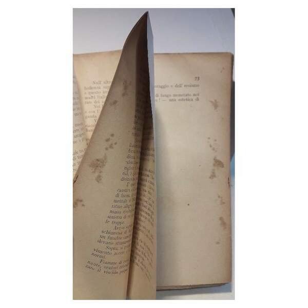 FUTURISMO E FASCISMO(1924)