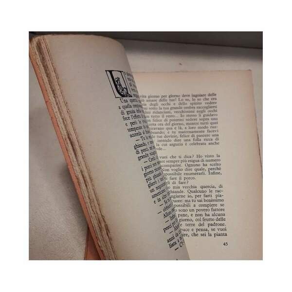 LA DONNA IN VETRINA(1926)