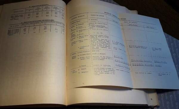 SPECIFICUL DANSULUI POPULAR ROMANESC(1971)