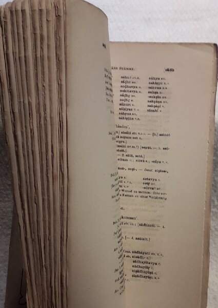 DIE WURZELN, VERBALFORMEN UND PRIMAREN STAMME DER SANSKRIT-SPRACHE( 1885) | Immagine Gallery 2