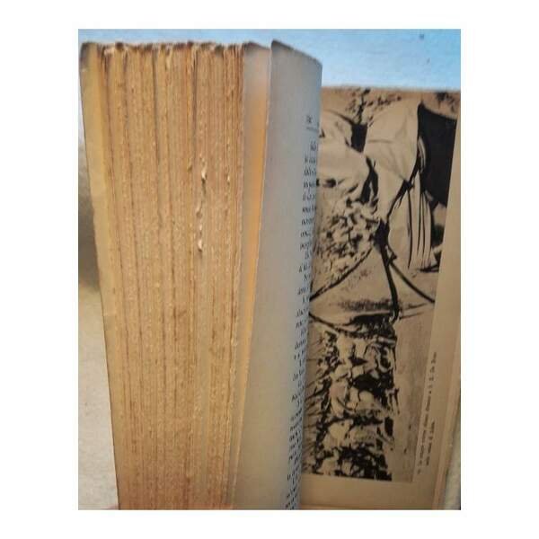 LA PREPARAZIONE E LE PRIME OPERAZIONI(1937) | Immagine Gallery 7