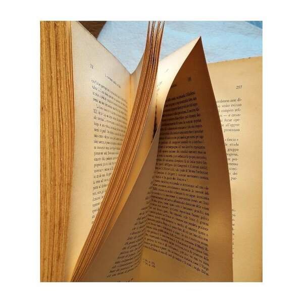 IL MOVIMENTO CATTOLICO IN ITALIA(1953)