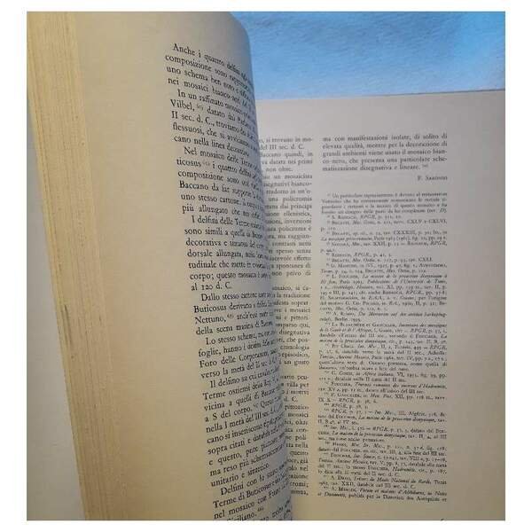 MOSAICI ANTICHI IN ITALIA-REGIONE SETTIMA-BACCANO:VILLA ROMANA( 1970) | Immagine Gallery 5