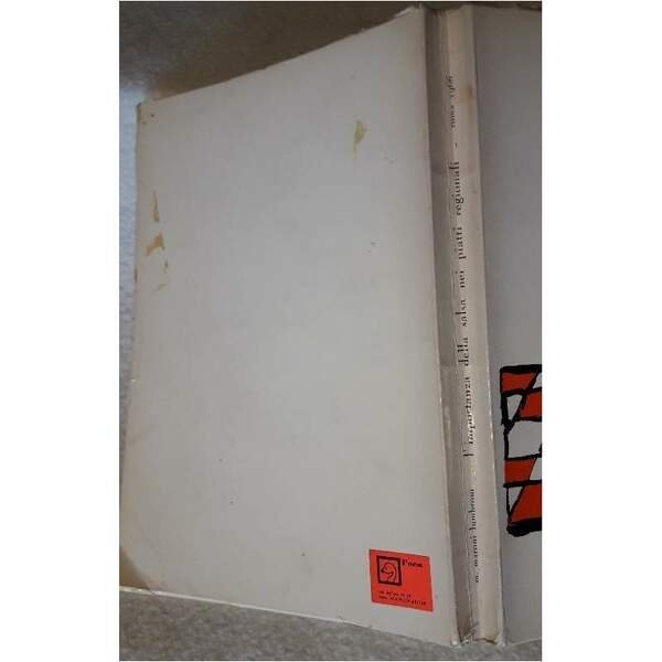 L'IMPORTANZA DELLA SALSA NEI PIATTI REGIONALI DESCRITTI ED ILLUSTRATI DAI …