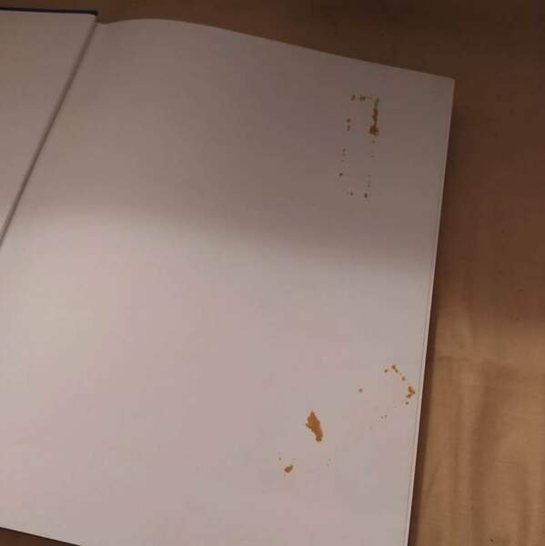 DI CHE STILE E'? (1988)