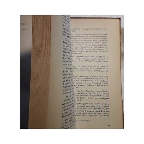 I PRESTITI PORTOGHESI NEL MALESE-INDONESIANO(1967)