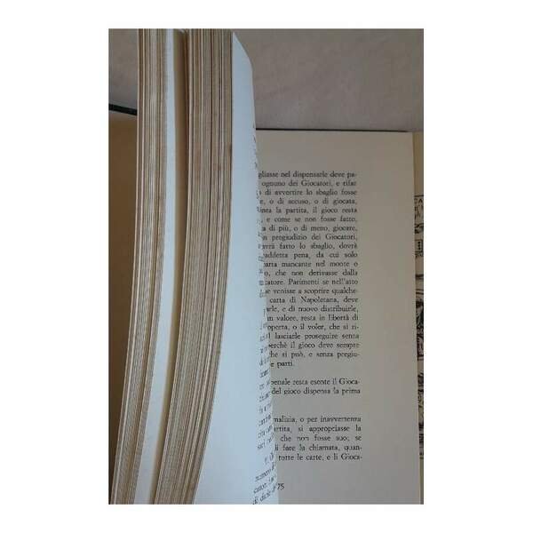 MEDIATORE E TRESSETTE-REVOLE DE IOCARE E PAVARE CON L'AGGIUNTA DEL … | Immagine Gallery 7