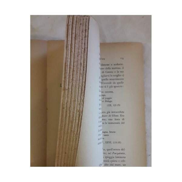 LA FIGURAZIONE DELLA LUCE NELLA DIVINA COMMEDIA(1962)