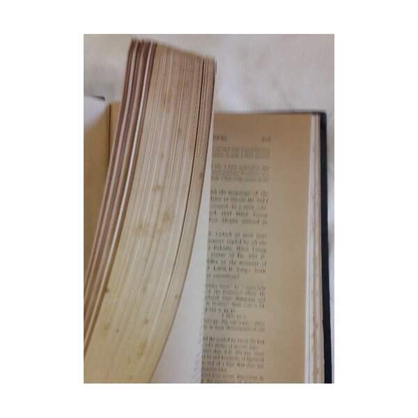 THE LOTUS GOSPEL OR MAHAYANA BUDDHISM AND ITS SYMBOLIC TEACHINGS(1911)