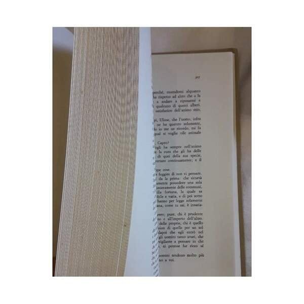 GIOVAN BATTISTA GELLI-OPERE(1970)