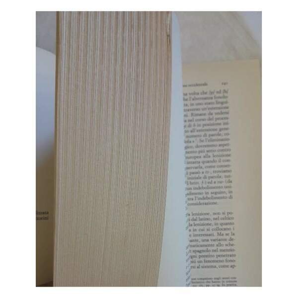 ECONOMIA DEI MUTAMENTI FONETICI-TRATTATO DI FONOLOGIA DIACRONICA(1968)