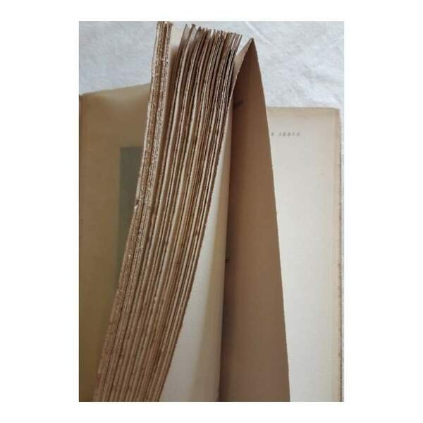 NIVOL E SEREN-POESIE IN DIALETTO MILANESE( 1940)