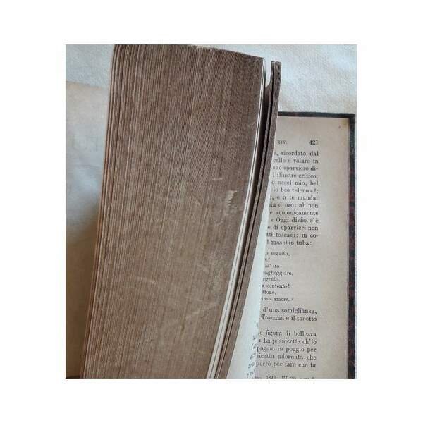 STUDI LETTERARI(1880)