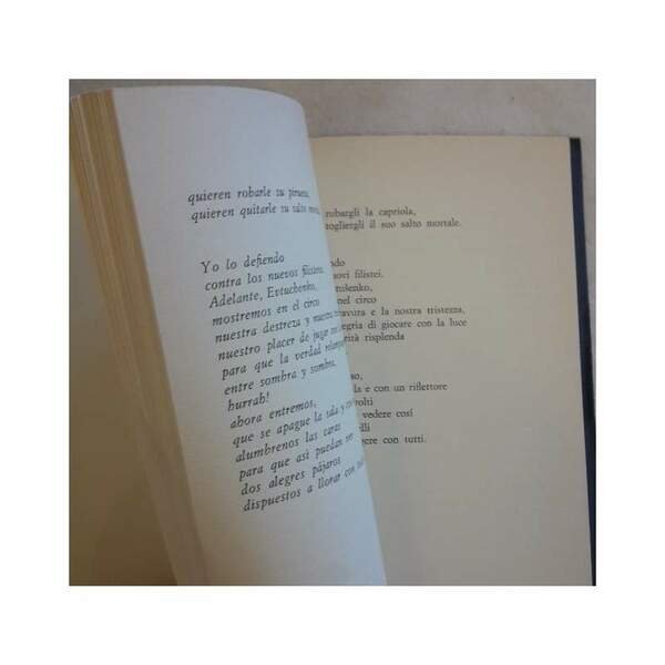 ELEGIA DELL'ASSENZA(1973)