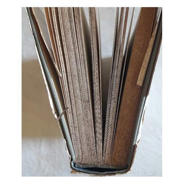 LA SCUOLA ITALIANA DAL 1870 AI GIORNI NOSTRI(1958) | Immagine Gallery 7