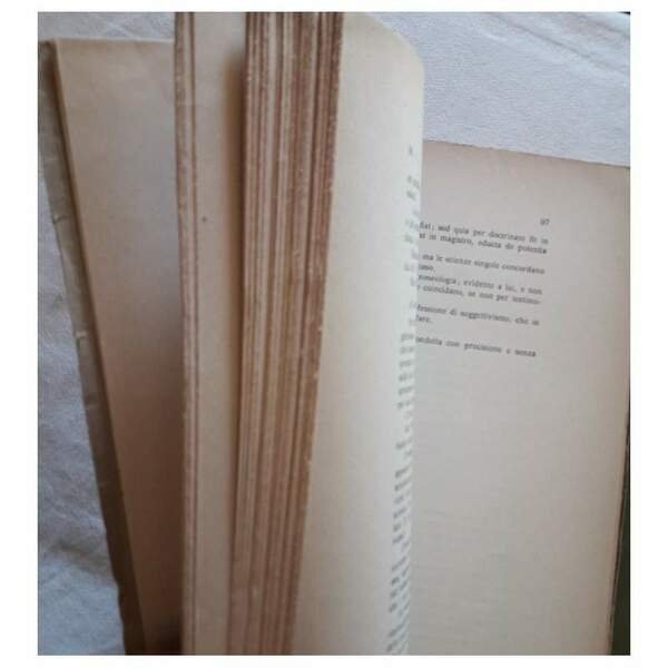 METAFISICA E GNOSEOLOGIA- risposta a Mons. Francesco Olgiati( 1935)