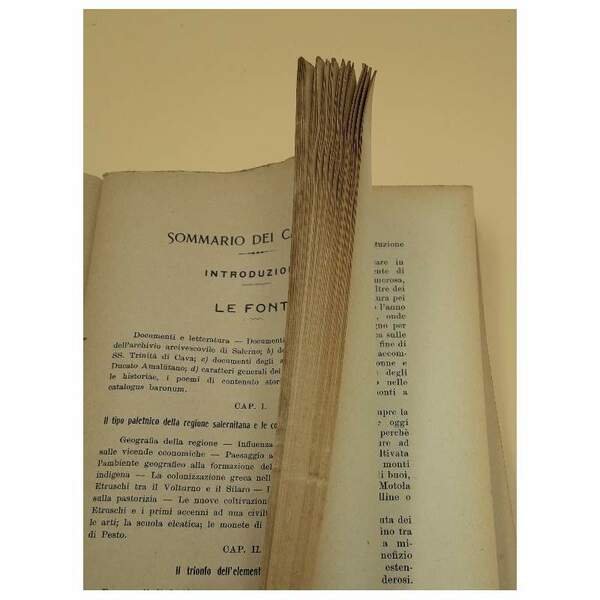 LA PROVINCIA DI SALERNO DAI TEMPI PIU' REMOTI AL TRAMONTO …