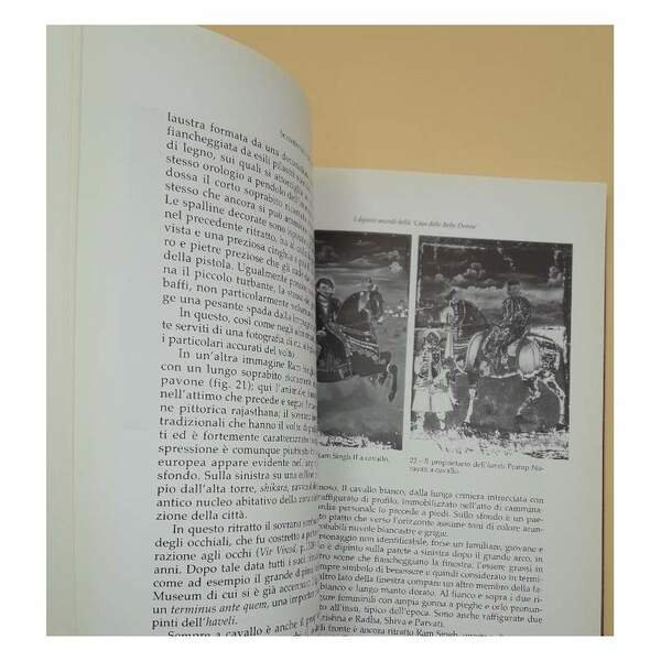 SGUARDO SUL'-Jaipur:dipinti murali della "Casa delle belle donne"(2012)