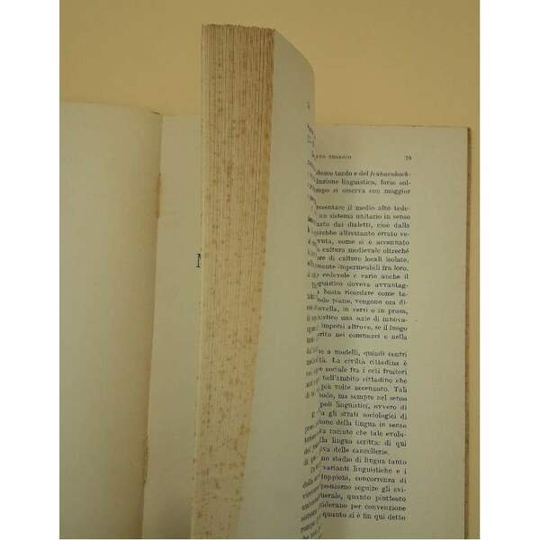 GRAMMATICA DEL MEDIO ALTO TEDESCO(1967)