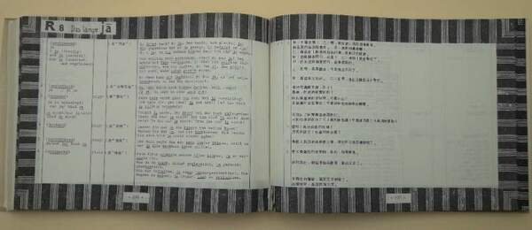 BAU-UND SINN-ANZEIGER IM DEUTSCHEN SATZGEFUGE(1981)