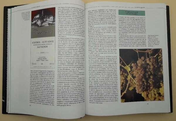 IL LIBRO COMPLETO DEL VINO(2012)