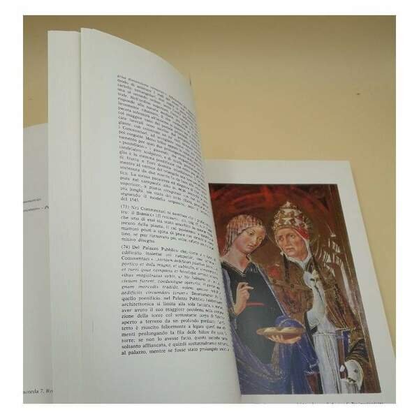 PIENZA -LA CITTA' DI PIO II( 1993)