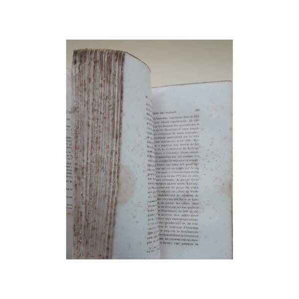 HISTOIRE DU PEUPLE SUISSE(1879)