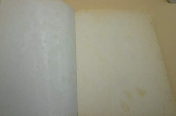 IL BOMBARDAMENTO DI MONTECASSINO-DIARIO DI GUERRA( 1997)