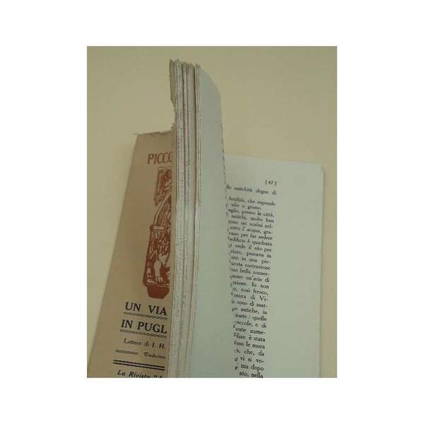 UN VIAGGIATORE TEDESCO IN PUGLIA NELLA SECONDA META' DEL SEC. …