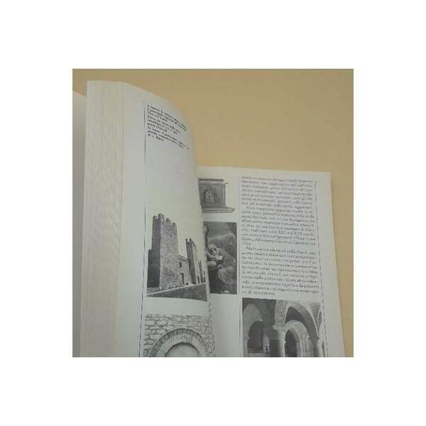 ALATRI UN ITINERARIO STORICO-ARTISTICO(1987)