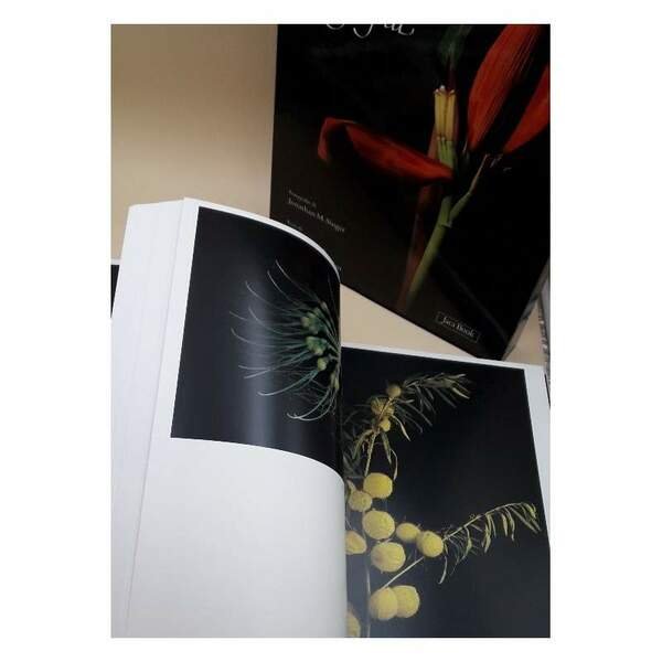 BOTANICA MAGNIFICA- PIANTE E FIORI STRAORDINARI(2009)