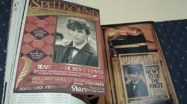 I SEGRETI DEL FILM CRIMINI DI GRINDELWALD(2018)