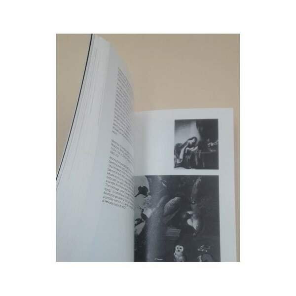 DENVER ART MUSEUM-MAJOR WORKS IN THE COLLECTION(1981)