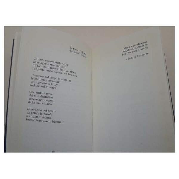 LE CITTA' POSSEDUTE DALLA LUNA(1998)