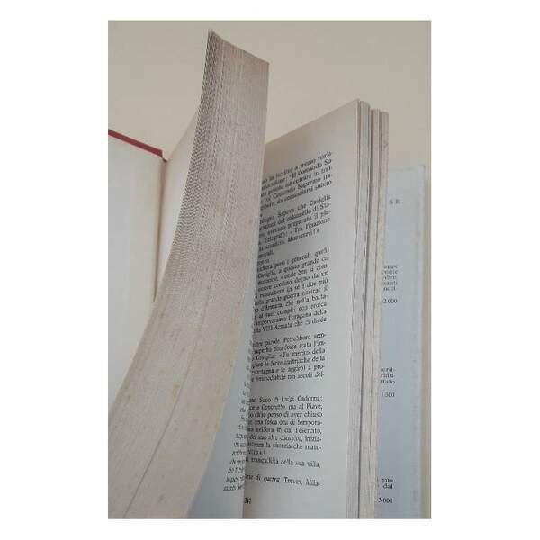 L'AVVENTO DELL'ASINOCRAZIA(1969)