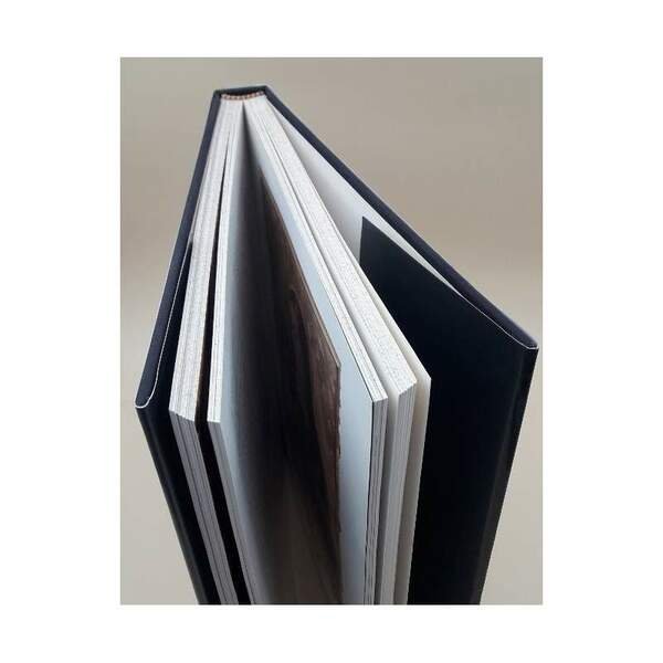 PITTURA E SCULTURA DALL'ETA' ROMANICA ALLA FINE DEL '500( 1990)