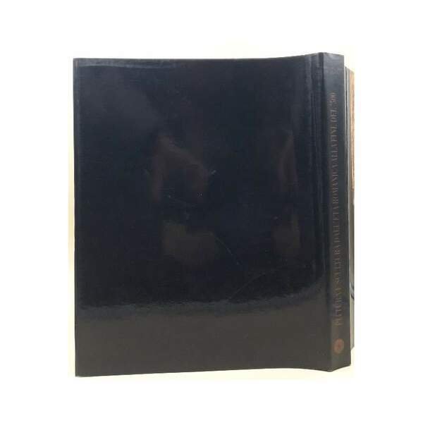 PITTURA E SCULTURA DALL'ETA' ROMANICA ALLA FINE DEL '500( 1990)