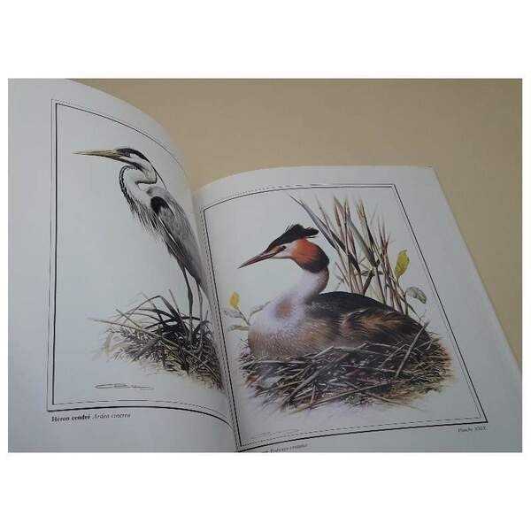 LES ANIMAUX DE NOS REGIONS( 1985)