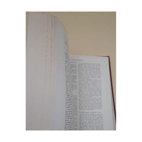 CLINICA E FISIOPATOLOGIA MEDICA(INTRODUZIONE ALLA MEDICINA INTERNA) ( 1975)