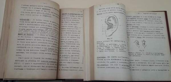 CORSO DI SPLANCNOLOGIA E TOPOGRAFIA PROIETTIVA DEGLI ORGANI TORACO-ADDOMINALI(1943)
