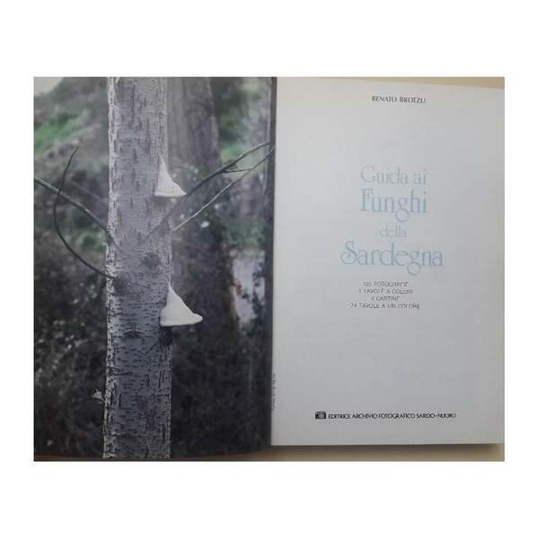 GUIDA AI FUNGHI DELLA SARDEGNA(1988)