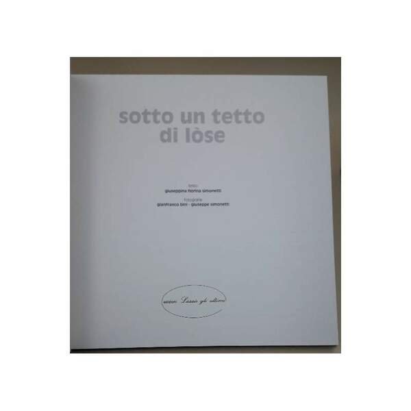 SOTTO UN TETTO DI LOSE(1994)