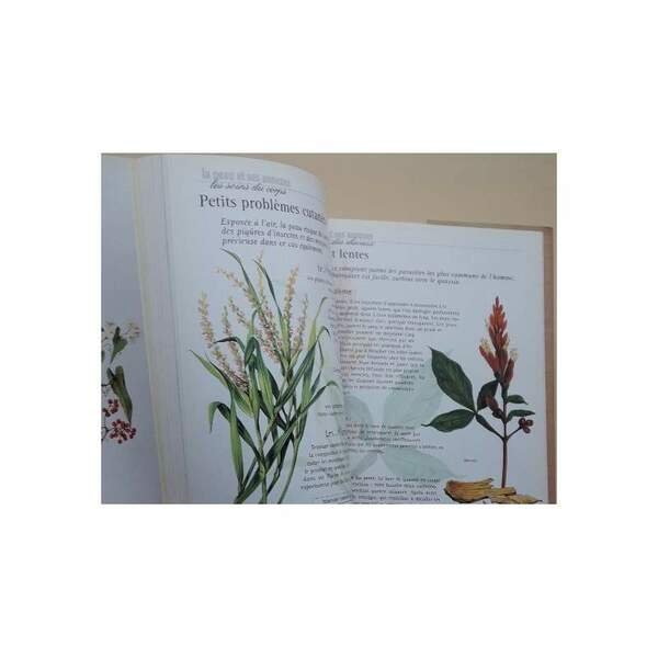 LES PLANTES MEDICINALES- LA NATURE EST UN BON MEDECIN( 1999)