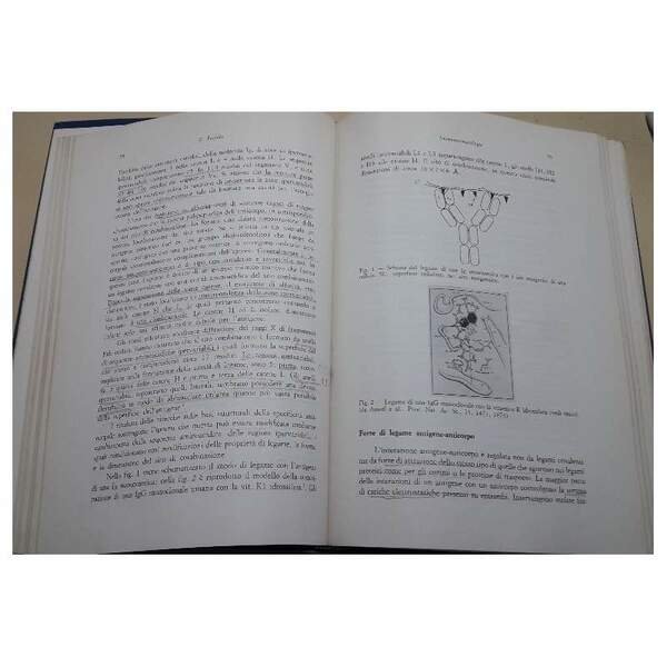 IMMUNOEMATOLOGIA- teoria e tecniche sierologiche(1979)